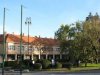 Od licitara, preko ljekovitih sokova i krema, do kiselog zelja