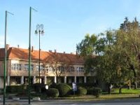 Od licitara, preko ljekovitih sokova i krema, do kiselog zelja