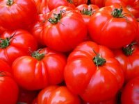 'Pomidori su skupi i loši, a da ih je i više, ne bi bili puno jeftiniji'