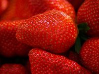 Vrgorački farmeri objavili rat prekupcima i velikim trgovačkim lancima