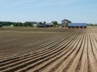 Prosječna cijena oranica u Hrvatskoj je 21.000 kn/ha