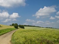 Pola milijarde kuna za zajmove poljoprivrednika, zahtjevi se primaju od 1. rujna