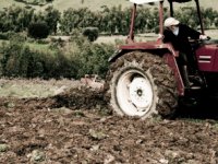 Više od sto novih radnih mjesta lani otvorilo samo 19 tvrtki