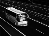 Panturist uveo nove atraktivne linije s iznimnim cijenama