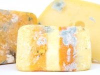 U konkurenciji preko 300 sireva, hrvatski ovčji sir proglašen najboljim u Srednjoj i Istočnoj Europi