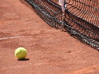 Što povezuje tenis, biznis i obrazovanje?