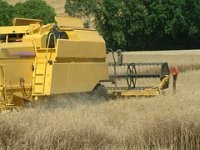 Novim pravilnikom Fortenovi najam zemlje 24 posto skuplji