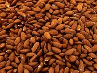 Berba badema na području grada Benkovca, gdje se nalazi najveći hrvatski proizvođač