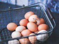 Velik interes za jaja iz slobodnog uzgoja