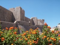 Ekskluzivni turizam i ekopoljoprivreda za prosperitet na jugu