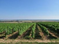 Blagdan Uskrsa i Praznik rada turistički napunili Baranju