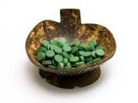 Građevinar uložio u kraljicu algi. ‘Unosan biznis, rođen za naše podneblje’