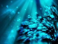 Tvrtke se trebaju okrenuti boljem korištenju resursa