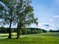 Čakovec - Industrijski razvoj u pet zona na 111 hektara