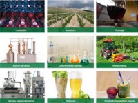 Natječaj 73.11 uskoro završava - uložite u opremu za preradu voća sada!