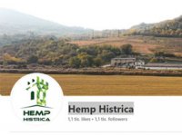 Istarska farma hrani svoja Black Angus goveda konopljom, prvi su u svijetu