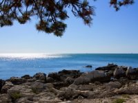 Izvanredan turistički rujan na Viru