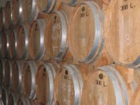 Deset najprestižnijih vina zakitili zlatom