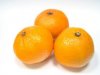Nema tko ubrati devedeset tisuća tona mandarina