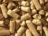 Potrošnju peleta u nas dižu građani, država nema sluha