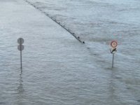 Za gradnju kuće u Gunji uzeli 2100 eura po kvadratu