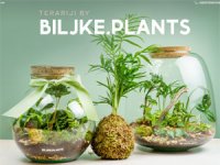 Ana Hrgovčić, Biljke.Plants: Planiramo se pozicionirati kao lider u proizvodnji terarija na domaćoj sceni