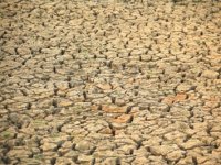 Klimatske promjene ugrožavaju globalni gospodarski rast