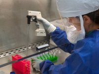 Odlična prilika za mlade znanstvenice u Hrvatskoj: Nagrade u vrijednosti od 5000 eura