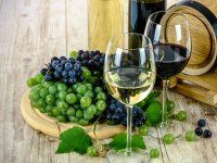 Franko Ružić jedini je registrirani proizvođač mirnog vina i vrhunskog pjenušca od jarbole