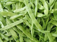 Poljoprivredu morate voljeti i ne očekivati veliku zaradu