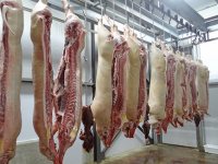 PPK karlovačka mesna industrija i u koronakrizi proizvodi punom snagom