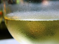 Ranija berba graševine na OPG-u Hoborka kao pun pogodak: Sladori jači, kiseline optimalne