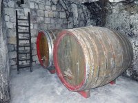 Kako su tribidrag i malvasija dubrovačka dobile novi život