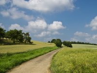 Izravnom pogodbom u tri godine prodan je 271 hektar državne zemlje