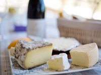 Od jedne koze do zavidnog OPG-a, Danica Mičić daleko od gradske vreve stvorila raj na zemlji