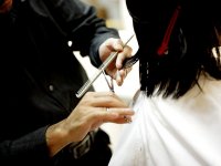 Raste broj obrtnica - u godinu dana 6%, u pet godina 42%