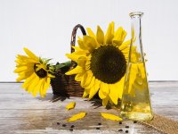 Suncokret: Traži puno vode, ne i plodno tlo