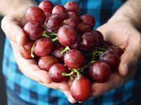 Grožđe, od antičkih vinograda do globalnog biznisa teškog milijarde dolara