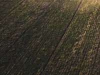 DZS: Hektar oranice poskupio za 293 kune u godinu dana