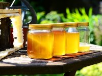 ‘Pčelarstvo traži stalna ulaganja, ali naš se med uspio probiti do Europe’