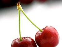 Maraska udvostručila izvoz