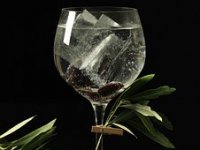 Bila im je puna kapa ureda pa su dale otkaz i sad rade vrhunski gin: 'Još uvijek nam se čude'