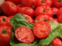 Uz pomoć IPARD-a podigli novi plastenik vrijedan 8 mil.kn