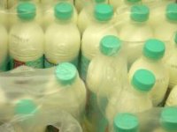 10 tisuća zaposlenih u domaćoj mliječnoj industriji sa strahom očekuju ukidanje kvota