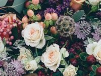 Od agencijskog života do cvjetnog studija: S Vanjom Blumenšajnom o zaokretu u karijeri