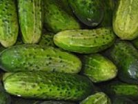 Ovo izuzetno zdravo povrće sve se manje proizvodi u Hrvatskoj