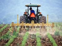 Blokirano 1070 OPG-ova s dugom od 447 mil. kuna