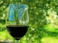 Ostavili Francusku i medicinu i otvorili vinariju u Istri