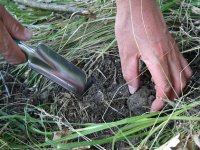 PULSKI UNILINE DOVODI BOGATE AMERIKANCE U ISTRU