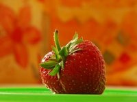 Kišno proljeće umanjilo slatkoću jagoda